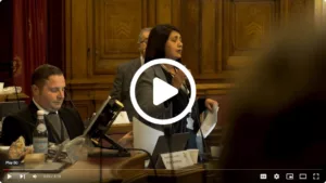 The importance of diversity in democracy